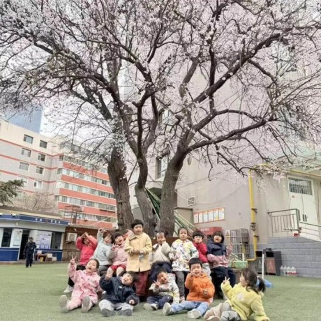 【主题活动】清明风起时，生命在爱中流转